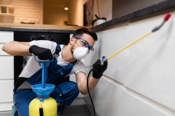 Best Ant Control Services  in Seymour, IN