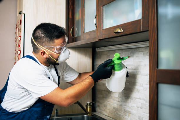 Trusted Seymour, IN Pest Control Experts