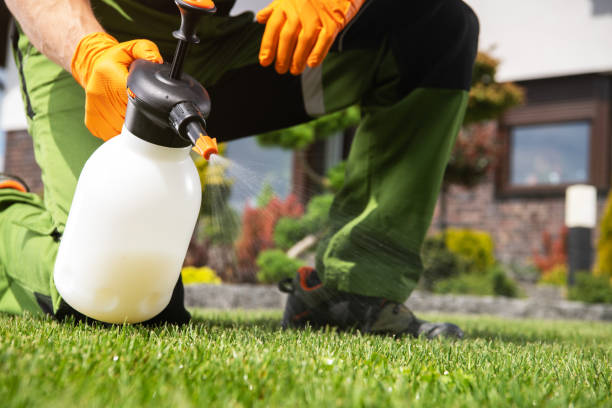 Best Flea Control Services  in Seymour, IN