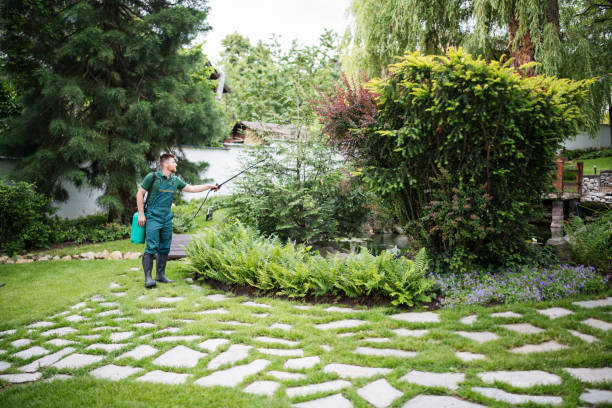 Best Wildlife Control Services  in Seymour, IN