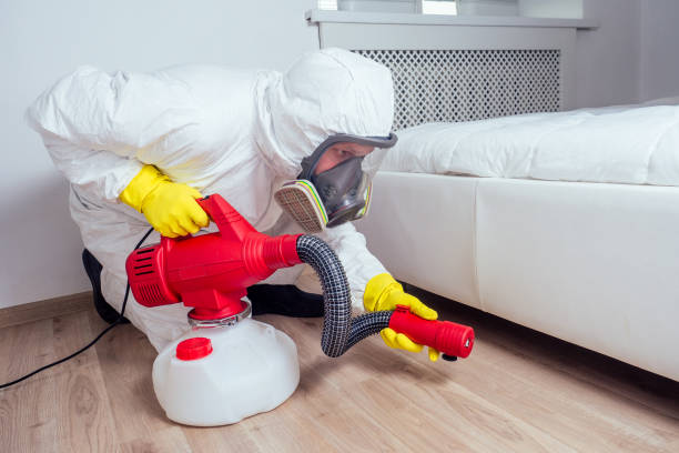 Best Pest Control Treatment  in Seymour, IN