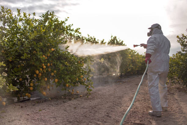 Trusted Seymour, IN Pest Control Experts
