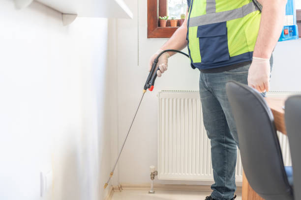 Best Wasp Removal Services  in Seymour, IN