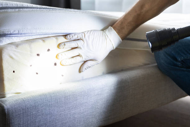 Best Pest Prevention Services  in Seymour, IN