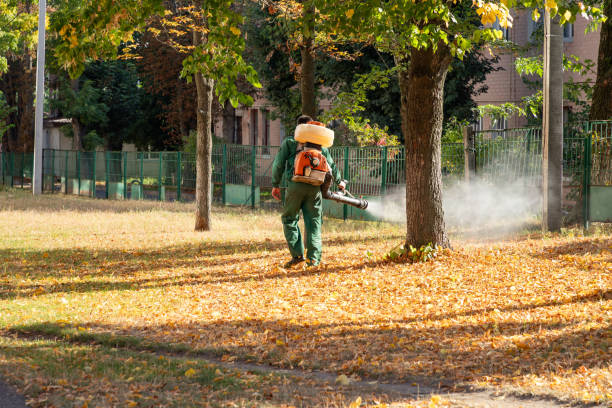 Wasp Removal Services in Seymour, IN