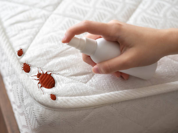 Best Insect Control  in Seymour, IN