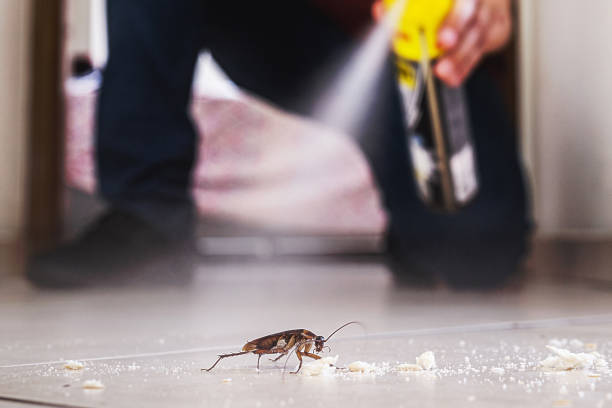 Best Residential Pest Control  in Seymour, IN
