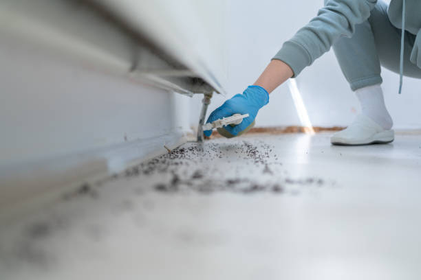 Best Affordable Pest Control Services  in Seymour, IN