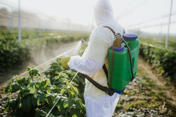 Pest Control for Restaurants in Seymour, IN